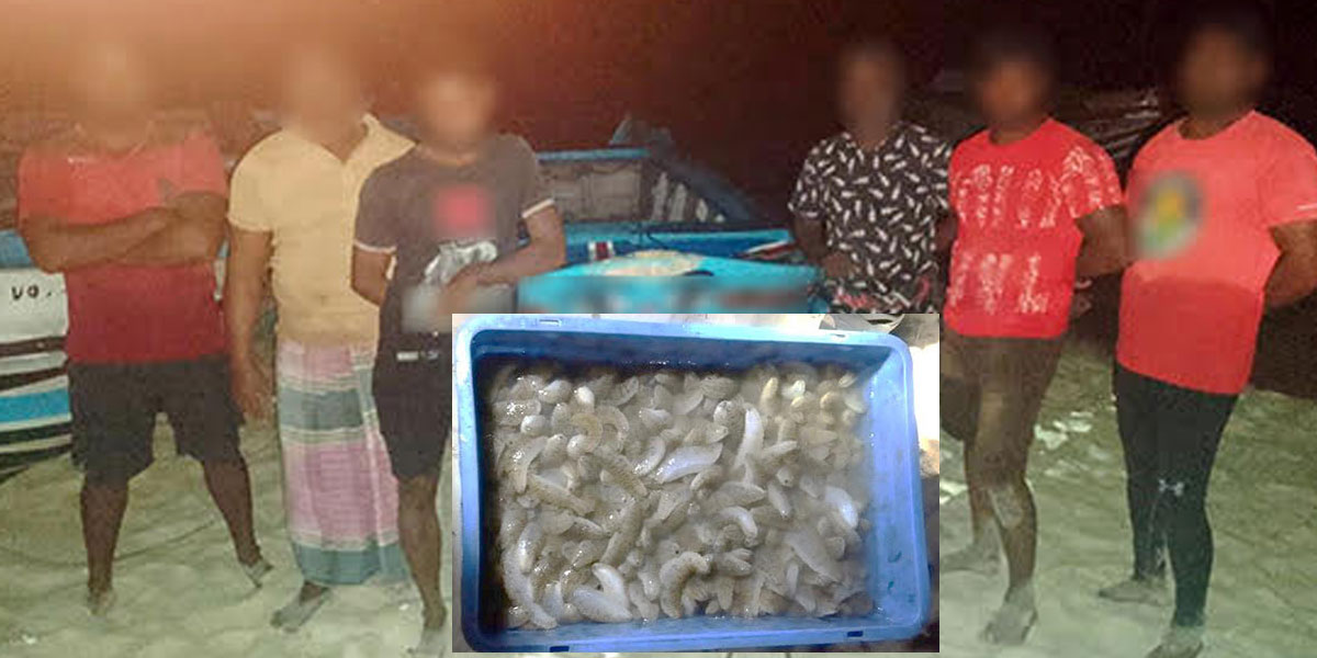Navy apprehends 06 persons for illegal harvesting of sea cucumber
